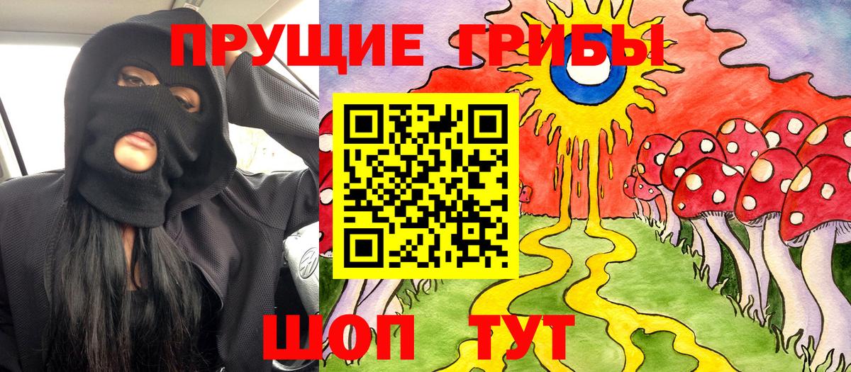 Псилоцибиновые грибы Psilocybe  Вход с VPN  Малгобек 