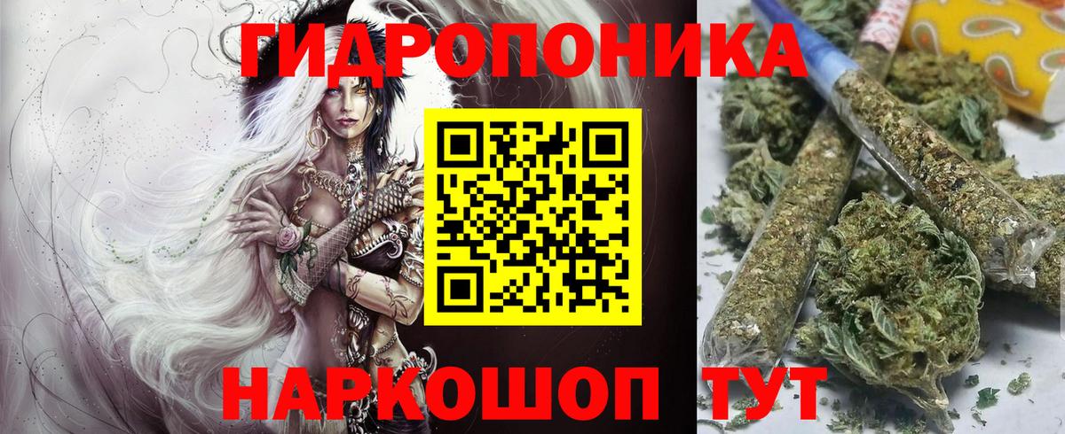 Шишки марихуана сатива  Вход с VPN  Бошки марихуана Amnesia  Малгобек 
